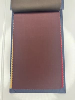 2925009
